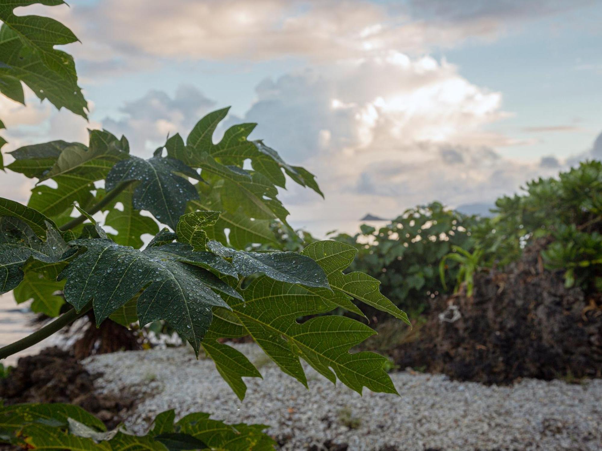 Jusandi Ishigaki (Okinawa) Exterior foto